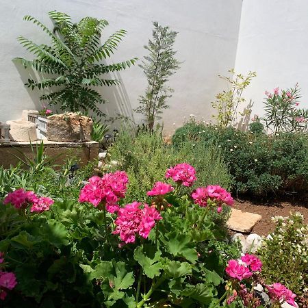 Le Cummerse In Centro Alberobello Dış mekan fotoğraf