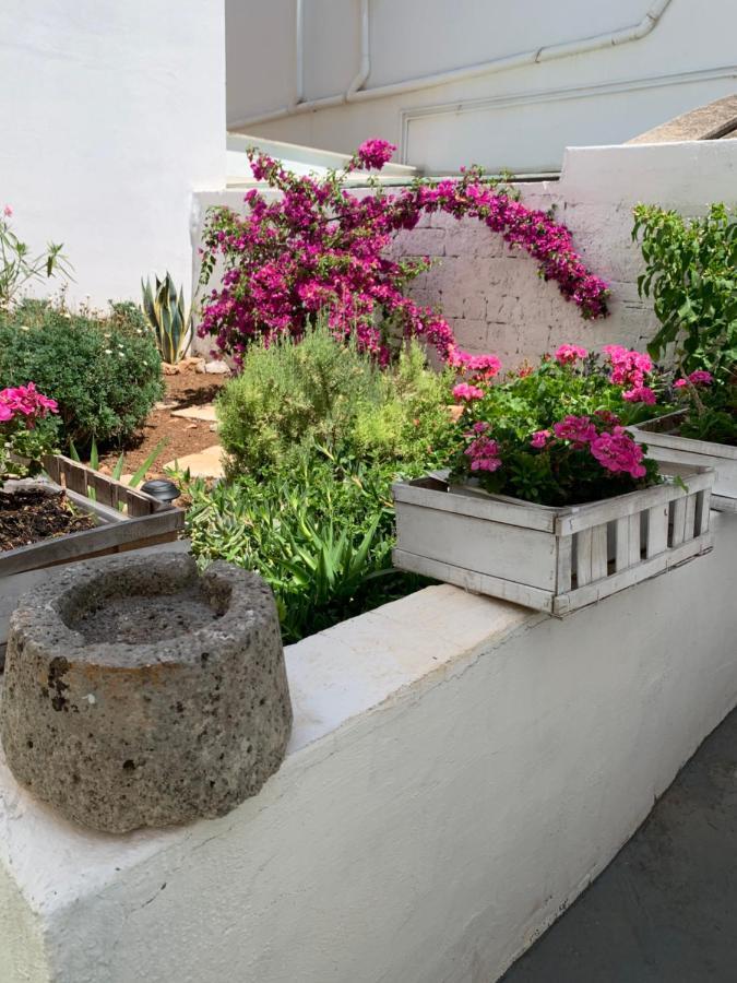 Le Cummerse In Centro Alberobello Dış mekan fotoğraf